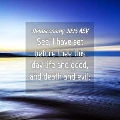 Picture 04 - Deuteronomy 30:15 ASV - See, I have set before thee this day life and - Bible Verse Picture