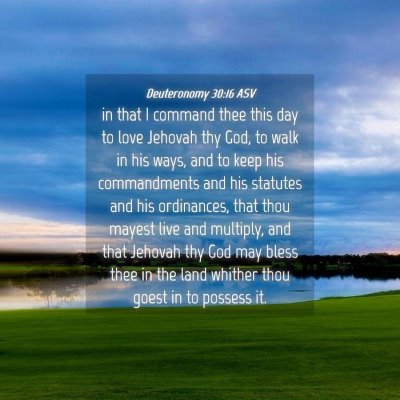 Picture 04 - Deuteronomy 30:16 ASV - in that I command thee this day to love Jehovah - Bible Verse Picture