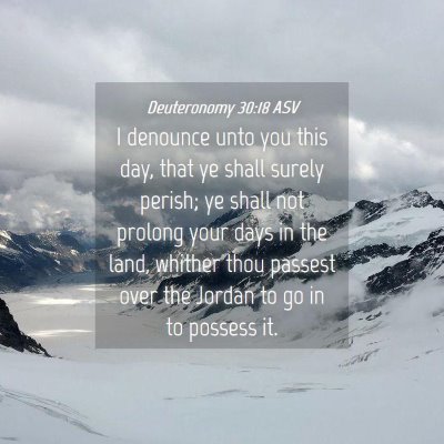 Picture 04 - Deuteronomy 30:18 ASV - I denounce unto you this day, that ye shall - Bible Verse Picture