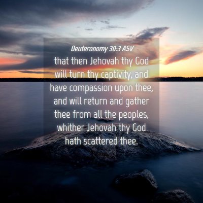 Picture 04 - Deuteronomy 30:3 ASV - that then Jehovah thy God will turn thy - Bible Verse Picture