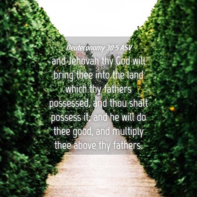 Picture 04 - Deuteronomy 30:5 ASV - and Jehovah thy God will bring thee into the land - Bible Verse Picture