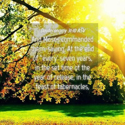 Picture 04 - Deuteronomy 31:10 ASV - And Moses commanded them, saying, At the end of - Bible Verse Picture