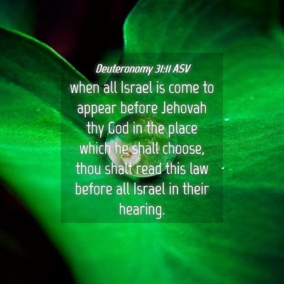 Picture 04 - Deuteronomy 31:11 ASV - when all Israel is come to appear before Jehovah - Bible Verse Picture