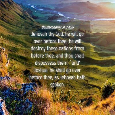Picture 04 - Deuteronomy 31:3 ASV - Jehovah thy God, he will go over before thee; he - Bible Verse Picture
