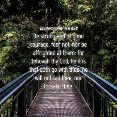 Picture 04 - Deuteronomy 31:6 ASV - Be strong and of good courage, fear not, nor be - Bible Verse Picture