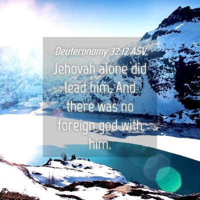 Picture 04 - Deuteronomy 32:12 ASV - Jehovah alone did lead him, And there was no - Bible Verse Picture