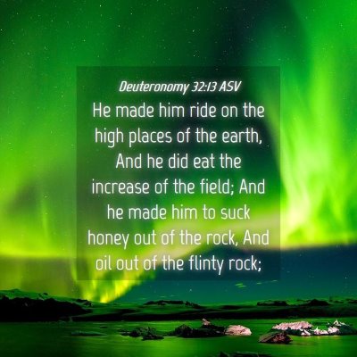 Picture 04 - Deuteronomy 32:13 ASV - He made him ride on the high places of the earth, - Bible Verse Picture