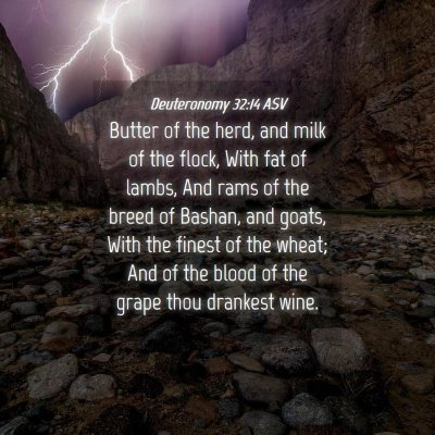 Picture 04 - Deuteronomy 32:14 ASV - Butter of the herd, and milk of the flock, With - Bible Verse Picture