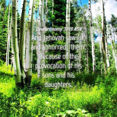 Picture 04 - Deuteronomy 32:19 ASV - And Jehovah saw `it', and abhorred `them', - Bible Verse Picture