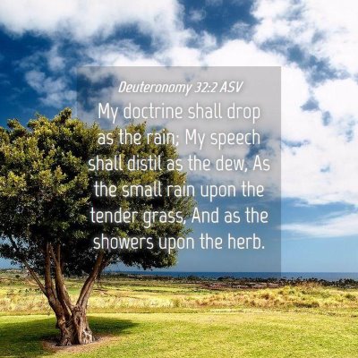 Picture 04 - Deuteronomy 32:2 ASV - My doctrine shall drop as the rain; My speech - Bible Verse Picture