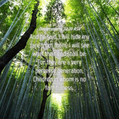 Picture 04 - Deuteronomy 32:20 ASV - And he said, I will hide my face from them, I - Bible Verse Picture