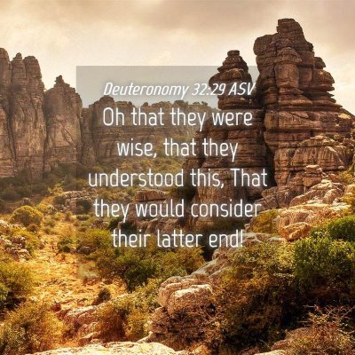Picture 04 - Deuteronomy 32:29 ASV - Oh that they were wise, that they understood - Bible Verse Picture