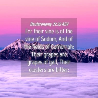 Picture 04 - Deuteronomy 32:32 ASV - For their vine is of the vine of Sodom, And of - Bible Verse Picture