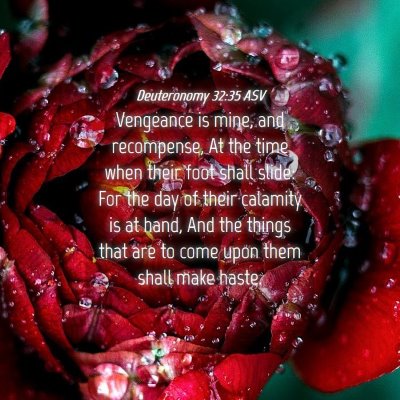 Picture 04 - Deuteronomy 32:35 ASV - Vengeance is mine, and recompense, At the time - Bible Verse Picture