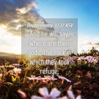 Picture 04 - Deuteronomy 32:37 ASV - And he will say, Where are their gods, The rock - Bible Verse Picture
