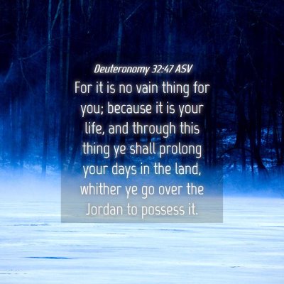Picture 04 - Deuteronomy 32:47 ASV - For it is no vain thing for you; because it is - Bible Verse Picture