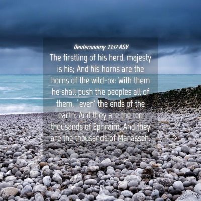 Picture 04 - Deuteronomy 33:17 ASV - The firstling of his herd, majesty is his; And - Bible Verse Picture