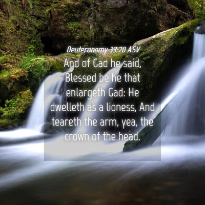 Picture 04 - Deuteronomy 33:20 ASV - And of Gad he said, Blessed be he that enlargeth - Bible Verse Picture
