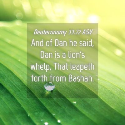 Picture 04 - Deuteronomy 33:22 ASV - And of Dan he said, Dan is a lion's whelp, That - Bible Verse Picture