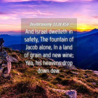 Picture 04 - Deuteronomy 33:28 ASV - And Israel dwelleth in safety, The fountain of - Bible Verse Picture