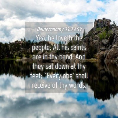 Picture 04 - Deuteronomy 33:3 ASV - Yea, he loveth the people; All his saints are in - Bible Verse Picture