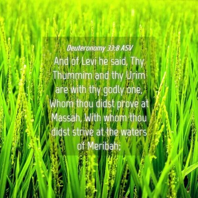 Picture 04 - Deuteronomy 33:8 ASV - And of Levi he said, Thy Thummim and thy Urim are - Bible Verse Picture