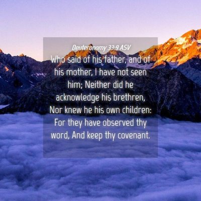 Picture 04 - Deuteronomy 33:9 ASV - Who said of his father, and of his mother, I have - Bible Verse Picture