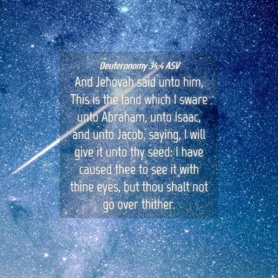 Picture 04 - Deuteronomy 34:4 ASV - And Jehovah said unto him, This is the land which - Bible Verse Picture