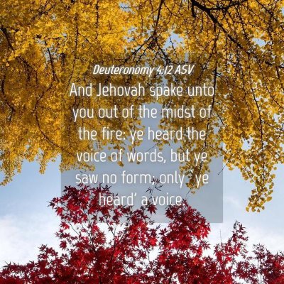 Picture 04 - Deuteronomy 4:12 ASV - And Jehovah spake unto you out of the midst of - Bible Verse Picture