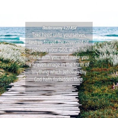 Picture 04 - Deuteronomy 4:23 ASV - Take heed unto yourselves, lest ye forget the - Bible Verse Picture