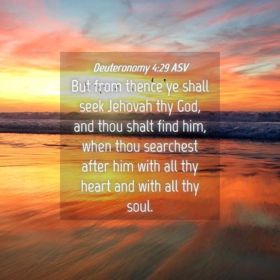 Picture 04 - Deuteronomy 4:29 ASV - But from thence ye shall seek Jehovah thy God, - Bible Verse Picture