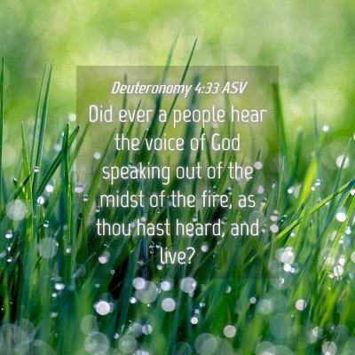 Picture 04 - Deuteronomy 4:33 ASV - Did ever a people hear the voice of God speaking - Bible Verse Picture