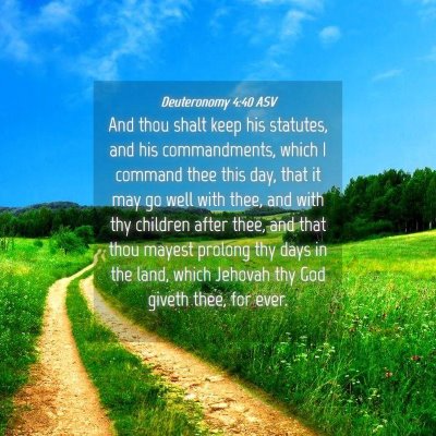 Picture 04 - Deuteronomy 4:40 ASV - And thou shalt keep his statutes, and his - Bible Verse Picture