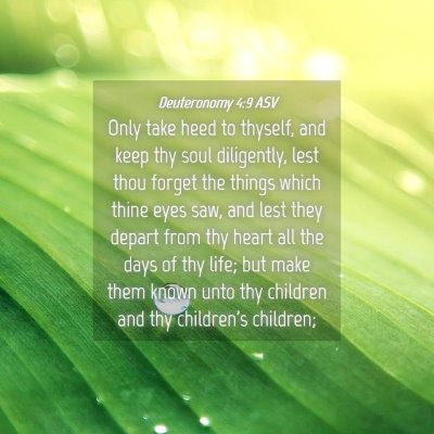 Picture 04 - Deuteronomy 4:9 ASV - Only take heed to thyself, and keep thy soul - Bible Verse Picture