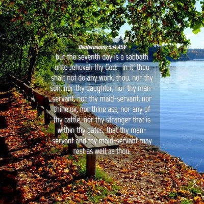 Picture 04 - Deuteronomy 5:14 ASV - but the seventh day is a sabbath unto Jehovah thy - Bible Verse Picture