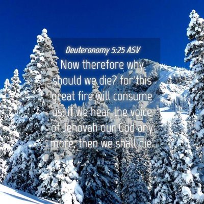 Picture 04 - Deuteronomy 5:25 ASV - Now therefore why should we die? for this great - Bible Verse Picture