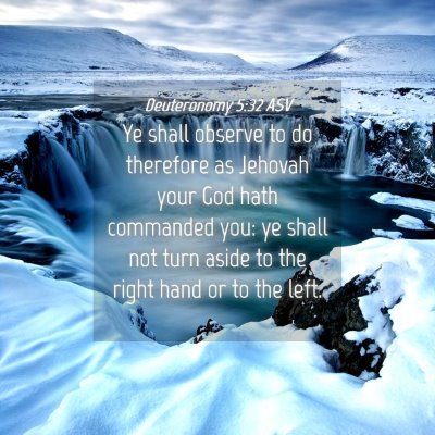 Picture 04 - Deuteronomy 5:32 ASV - Ye shall observe to do therefore as Jehovah your - Bible Verse Picture