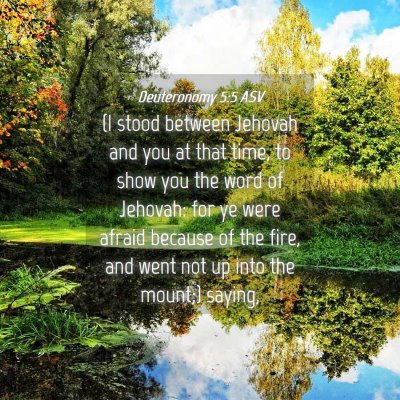 Picture 04 - Deuteronomy 5:5 ASV - (I stood between Jehovah and you at that time, to - Bible Verse Picture