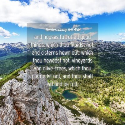 Picture 04 - Deuteronomy 6:11 ASV - and houses full of all good things, which thou - Bible Verse Picture