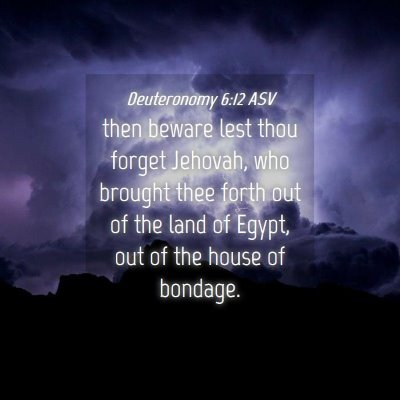 Picture 04 - Deuteronomy 6:12 ASV - then beware lest thou forget Jehovah, who brought - Bible Verse Picture