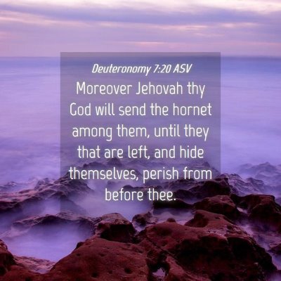 Picture 04 - Deuteronomy 7:20 ASV - Moreover Jehovah thy God will send the hornet - Bible Verse Picture
