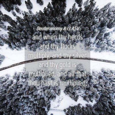 Picture 04 - Deuteronomy 8:13 ASV - and when thy herds and thy flocks multiply, and - Bible Verse Picture