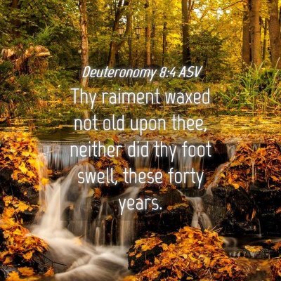 Picture 04 - Deuteronomy 8:4 ASV - Thy raiment waxed not old upon thee, neither did - Bible Verse Picture