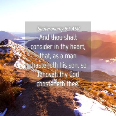 Picture 04 - Deuteronomy 8:5 ASV - And thou shalt consider in thy heart, that, as a - Bible Verse Picture