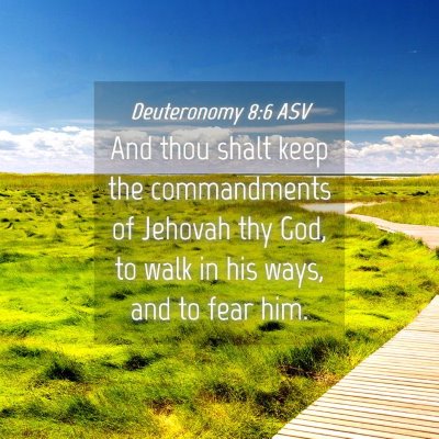 Picture 04 - Deuteronomy 8:6 ASV - And thou shalt keep the commandments of Jehovah - Bible Verse Picture