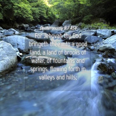 Picture 04 - Deuteronomy 8:7 ASV - For Jehovah thy God bringeth thee into a good - Bible Verse Picture