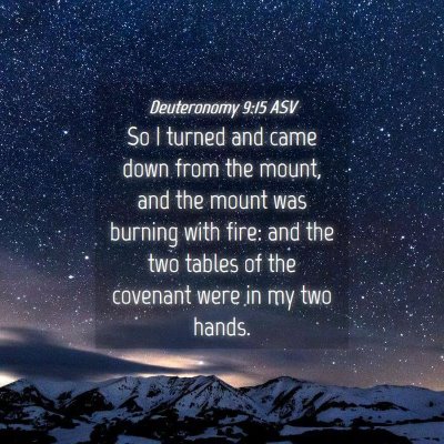 Picture 04 - Deuteronomy 9:15 ASV - So I turned and came down from the mount, and the - Bible Verse Picture