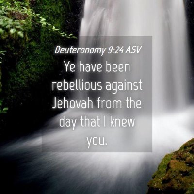 Picture 04 - Deuteronomy 9:24 ASV - Ye have been rebellious against Jehovah from the - Bible Verse Picture