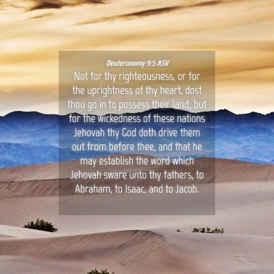 Picture 04 - Deuteronomy 9:5 ASV - Not for thy righteousness, or for the uprightness - Bible Verse Picture