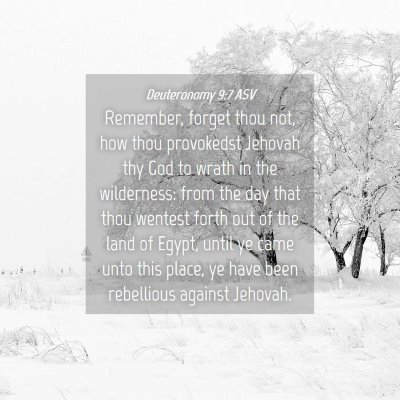 Picture 04 - Deuteronomy 9:7 ASV - Remember, forget thou not, how thou provokedst - Bible Verse Picture